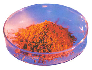 pure pycnogenol powder
